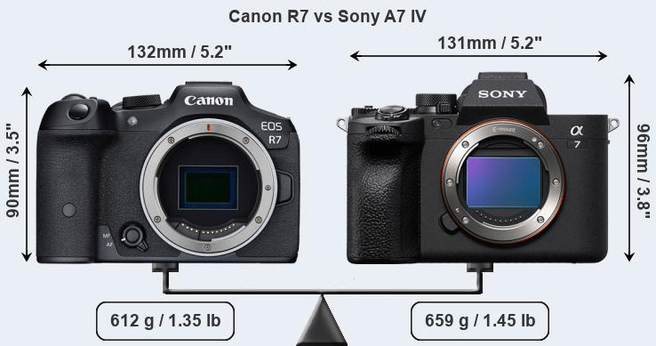 Canon EOS R7 và Sony A7 IV: Chọn máy ảnh crop hay full-frame?