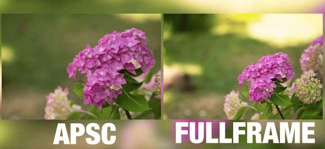 Các loại kích thước cảm biến thường gặp trong nhiếp ảnh