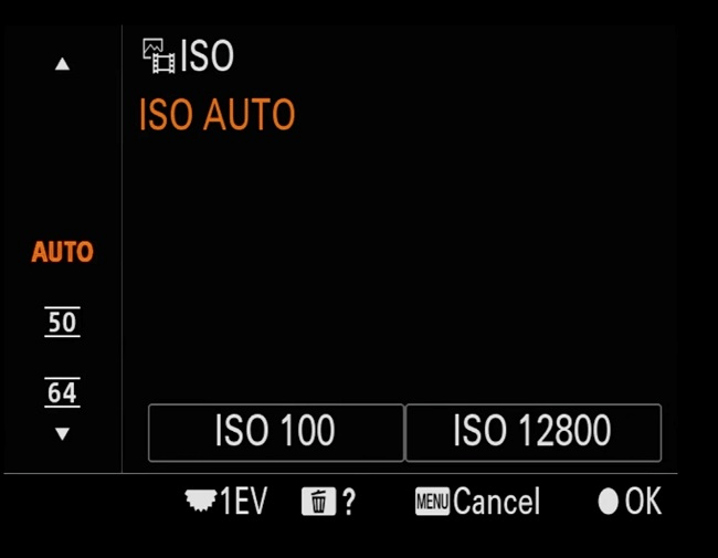 Mẹo thiết lập máy ảnh để chụp chim hoang dã