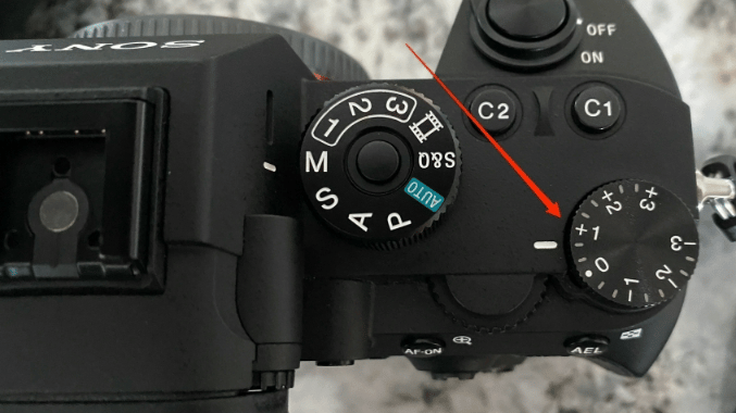 Mẹo thiết lập máy ảnh để chụp chim hoang dã