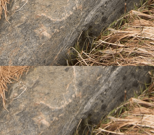 Kĩ thuật chụp ảnh focus stacking dành cho người mới bắt đầu