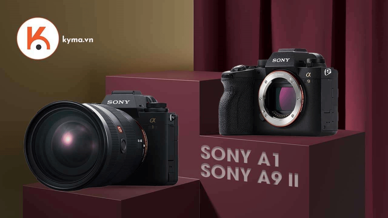 Cuộc đọ sức giữa Sony Alpha A1 và Alpha A9 II