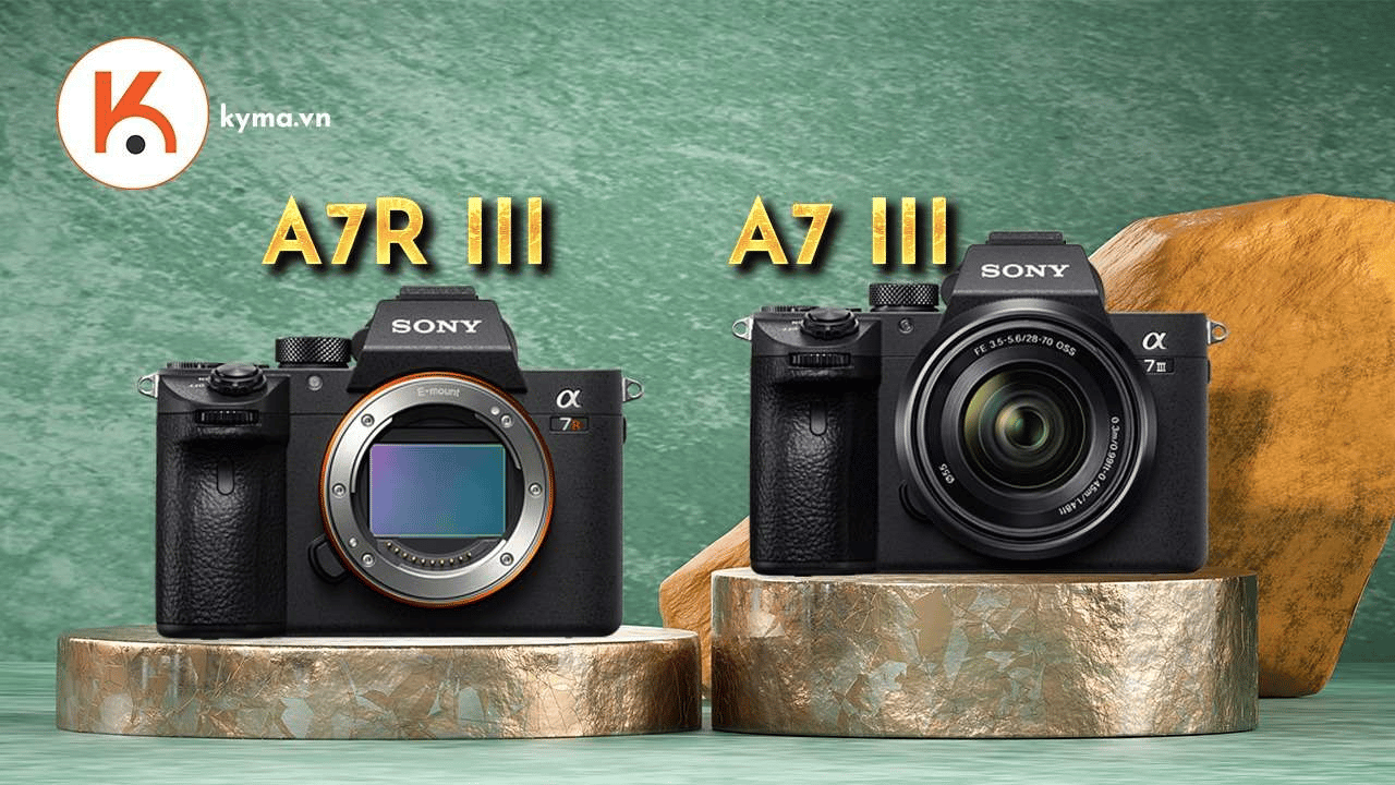 So sánh Sony Alpha A7 III và A7R III