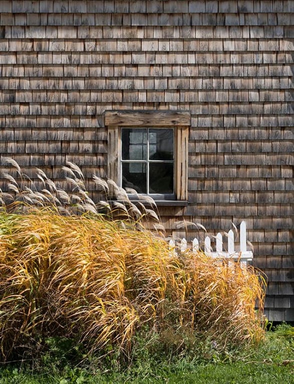 Tạo hình và ý nghĩa của hoa văn trong nhiếp ảnh