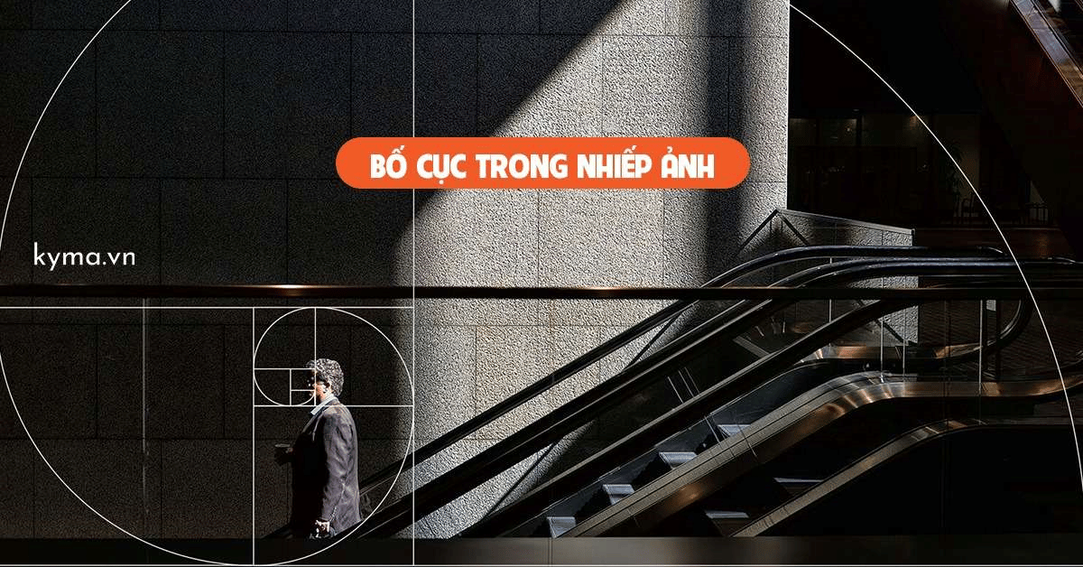 Bố cục hình ảnh và nguyên tắc cơ bản cần nắm vững