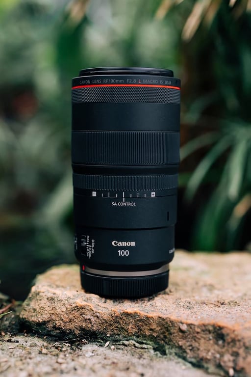 Top lens RF tốt nhất cho máy ảnh Canon R50