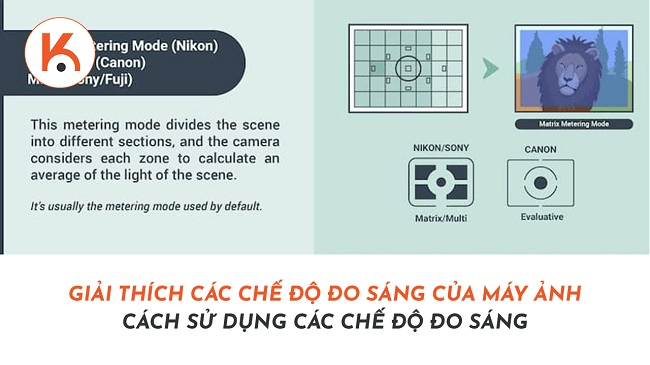 Giải thích các chế độ đo sáng của máy ảnh - Cách sử dụng các chế độ đo sáng