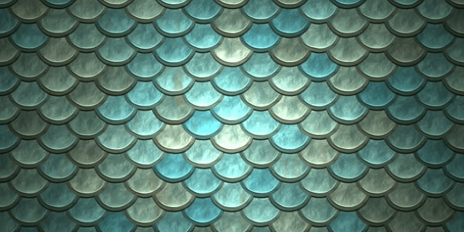 Tạo hình và ý nghĩa của hoa văn trong nhiếp ảnh