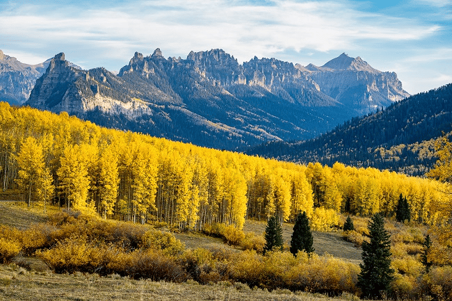 Danh sách ống kính tốt nhất cho Nikon Zf