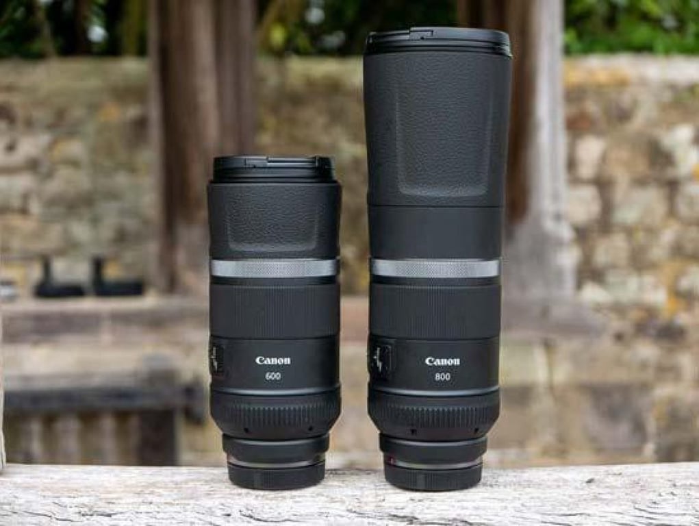 Hướng dẫn tổng quát về ống kính full-frame cho máy ảnh mirrorless