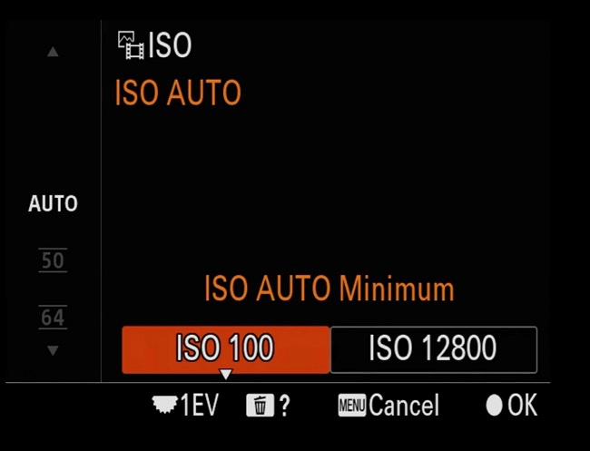 ẹo thiết lập máy ảnh để chụp chim hoang dã