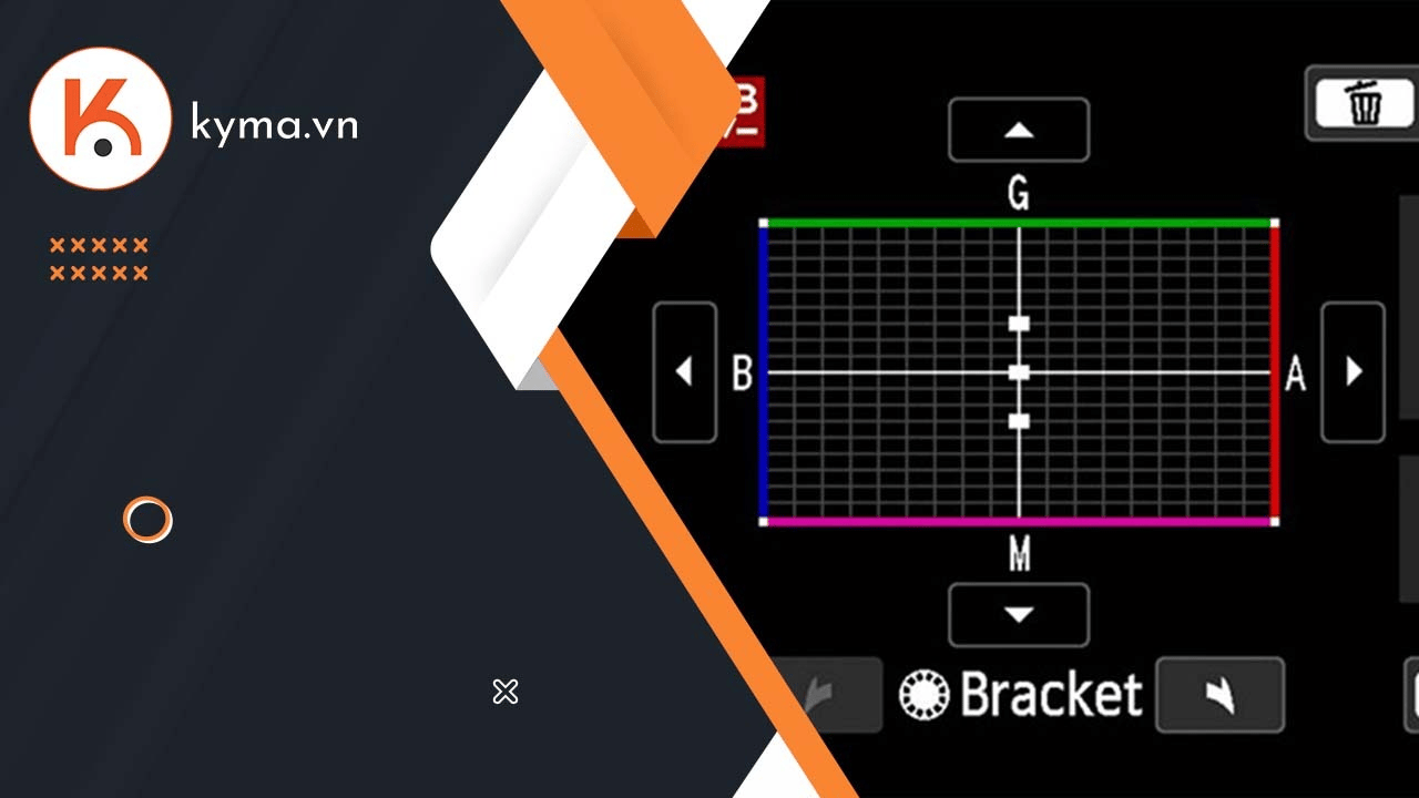 Tìm hiểu về cân bằng trắng trong nhiếp ảnh cho người mới bắt đầu