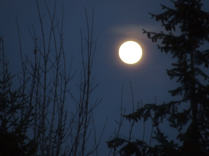 Thành thạo quay chụp với GoPro HERO 11