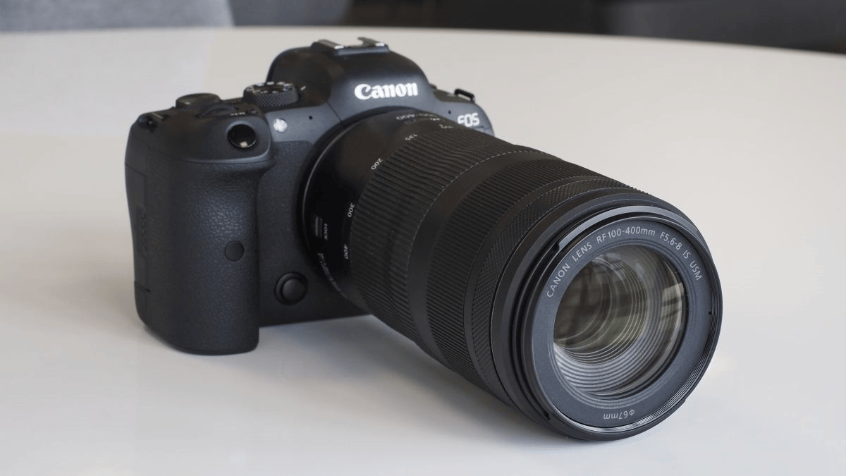 6 ống kính Canon chụp động vật hoang dã chất lượng nhất hiện nay