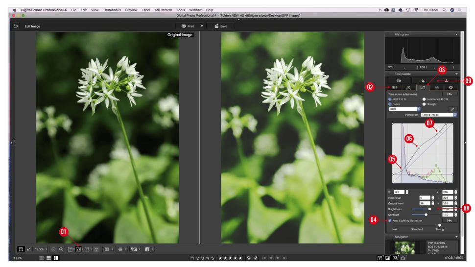 6 cách sử dụng Canon Digital Photo Professional có thể bạn chưa biết