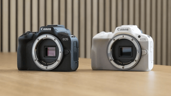 Canon R50 vs Canon M50 Mark II: EOS-R có thể thay thế EOS-M?