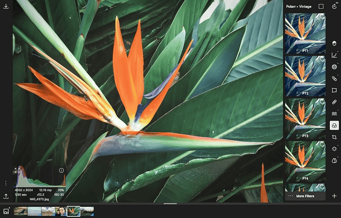 Trải nghiệm “Photoshop online” với 5  trình chỉnh sửa ảnh trực tuyến sau đây