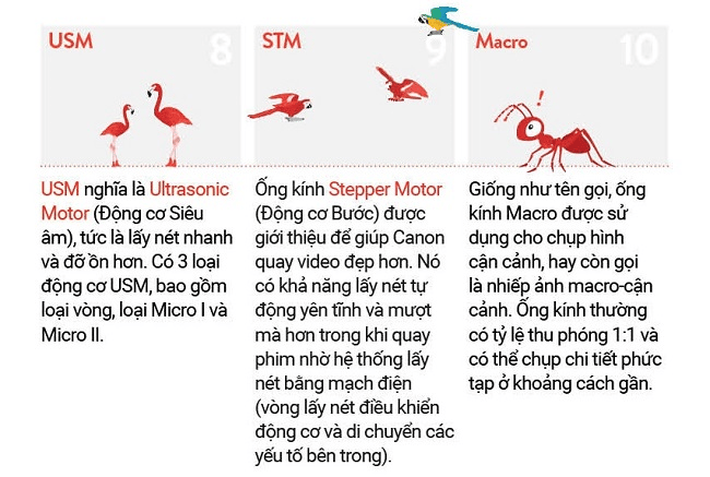 Tổng hợp tất cả thuật ngữ của ống kính Canon và ý nghĩa của chúng