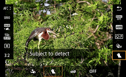 Trên tay Canon EOS R7: ngàm RF APS-C 32,5MP, video 4K / 60p, IBIS và hơn thế nữa