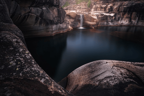 Kĩ thuật chụp ảnh focus stacking dành cho người mới bắt đầu