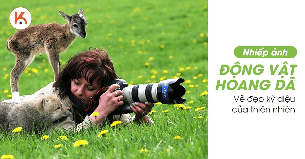 Nắm bắt vẻ đẹp thiên nhiên với nhiếp ảnh động vật hoang dã