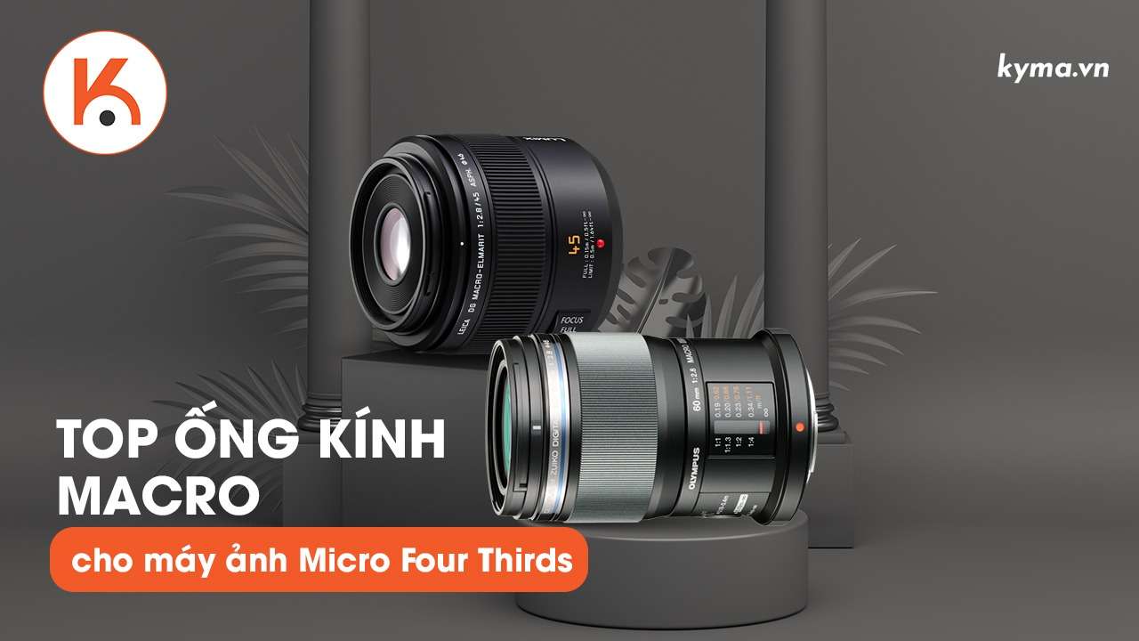 Top ống kính macro tốt nhất cho máy ảnh Micro Four Thirds