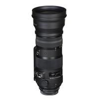 Ống Kính Sigma 150-600mm F5-6.3 DG OS HSM Sports For Nikon (Nhập Khẩu)