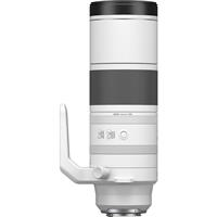 Ống kính Canon RF 200-800mm F6.3-9 IS USM
